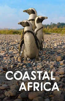 Watch Coastal Africa online