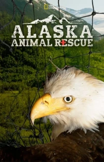 Watch Alaska Animal Rescue online