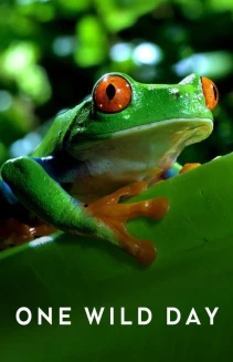 Watch Extreme Animals: One Wild Day online