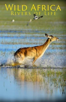 Watch Wild Africa: Rivers of Life online