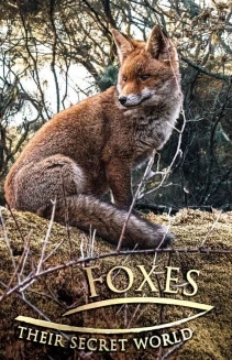 Watch Foxes: Their Secret World online