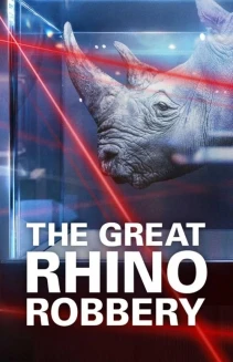 Watch The Great Rhino Robbery online