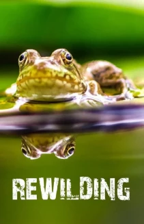 Watch Rewilding online