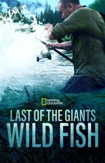 Watch Last of the Giants online