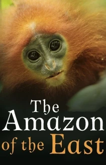 Watch The Amazon of the East online