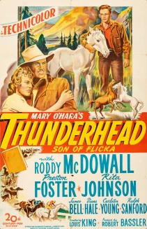 Thunderhead: Son of Flicka