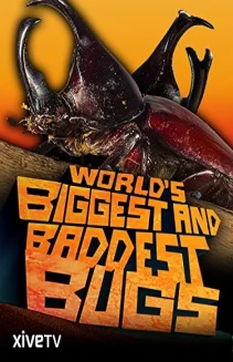 World's Biggest and Baddest Bugs