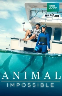 Watch Animal Impossible online