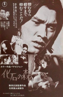 The Petrified Forest