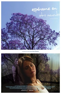 Espérame en otro mundo