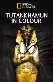 King Tut in Color