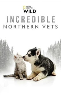 Incredible Northern Vets