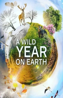 Watch A Wild Year On Earth online
