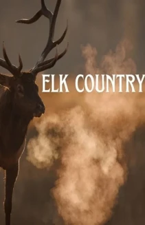 Elk Country