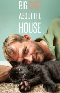 Watch Big Cats About The House online