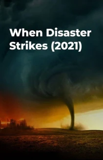 Watch When Disaster Strikes online