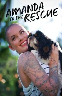 Watch Amanda to the Rescue online