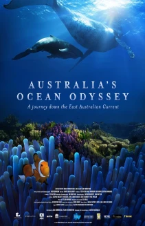 Australia's Ocean Odyssey: A Journey Down the East Australian Current