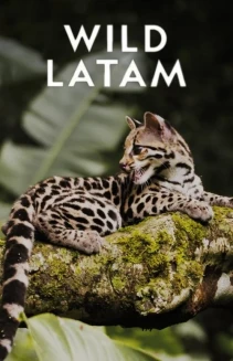 Wild Latam