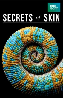 Watch Secrets of Skin online