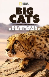 Watch Big Cats: An Amazing Animal Family online