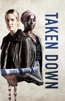 Watch Taken Down online