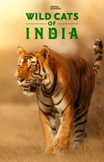Watch Wild Cats of India online