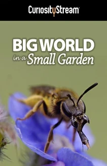 Big World in a Small Garden