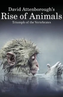 Watch David Attenborough's Rise of Animals: Triumph of the Vertebrates online