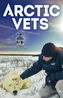 Watch Arctic Vets online