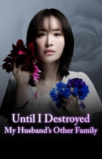 Watch Until I Destroyed My Husband's Other Family online
