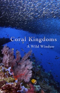 Wild Window: Coral Kingdoms