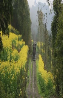 The Last Little Train in China