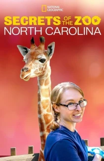 Watch Secrets of the Zoo: North Carolina online
