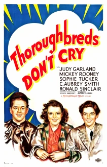 Thoroughbreds Don't Cry