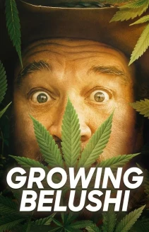 Watch Growing Belushi online