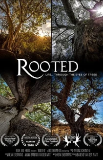 Watch Rooted online