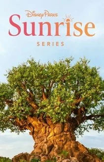Disney Parks Sunrise
