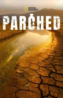 Watch Parched online