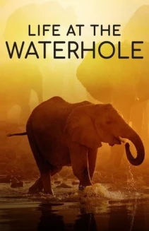 Watch Life at the Waterhole online
