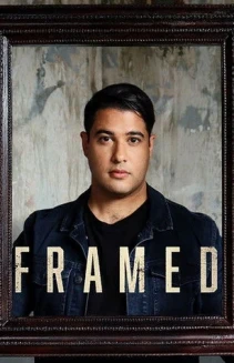 Watch Framed online
