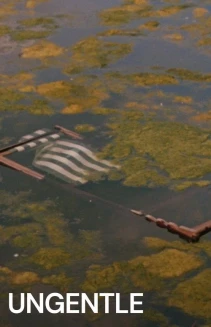 Ungentle