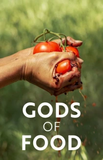 Watch Gods of Food online