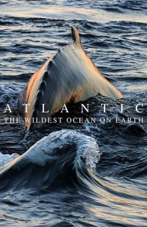 Watch Atlantic: The Wildest Ocean on Earth online