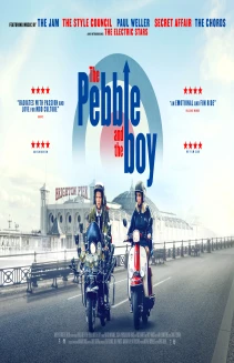 The Pebble and the Boy