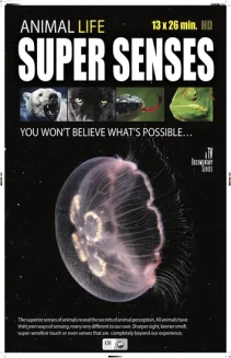 Watch Super Senses online