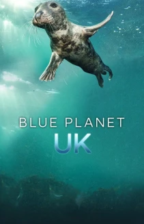 Watch Blue Planet UK online