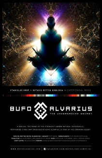 Bufo Alvarius: The Underground Secret