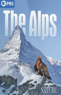 Watch The Alps online