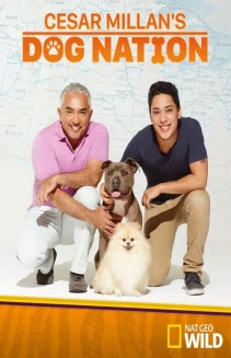 Watch Cesar Millan's Dog Nation online